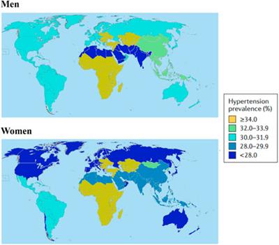 Genetic and epigenetic factors of arterial hypertension: a bibliometric- and in-silico-based analyses